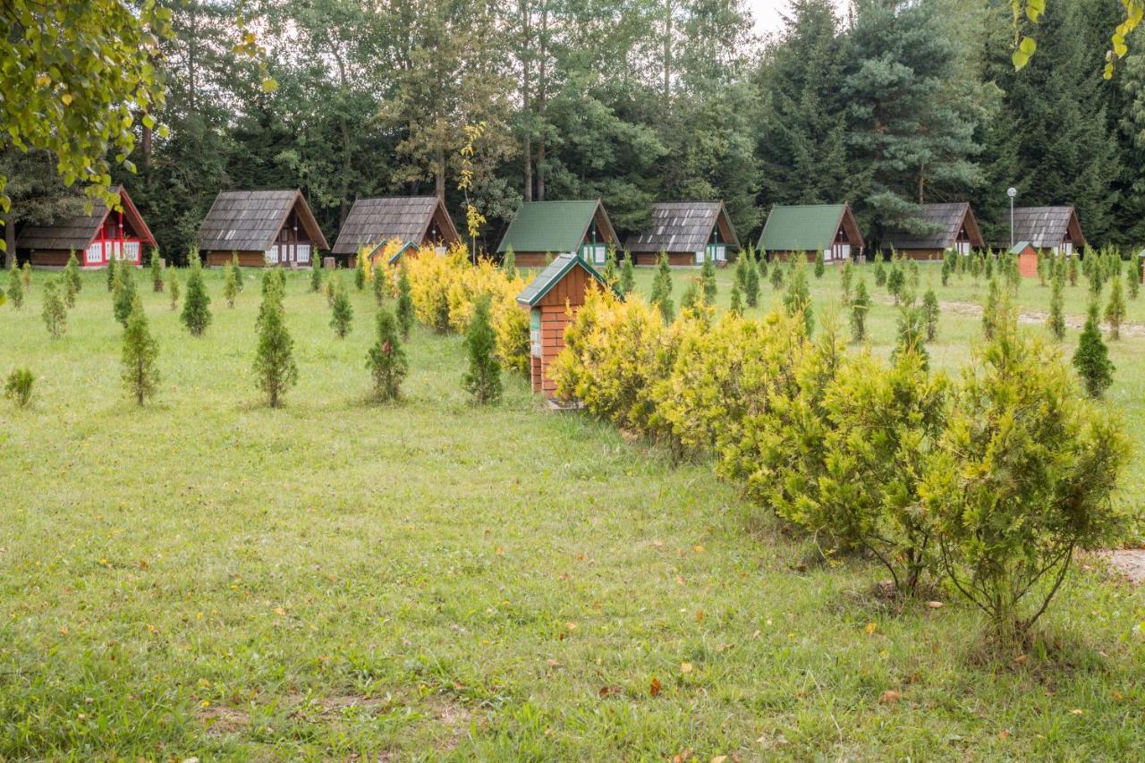 Pensiune Si Camping Patru - Gheorgheni Gheorgheni  Exterior photo